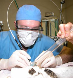 Medication Eye Surgery